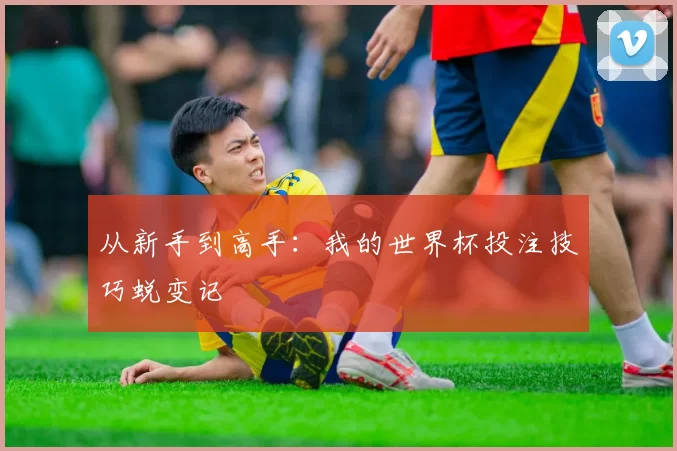 从新手到高手：我的世界杯投注技巧蜕变记
