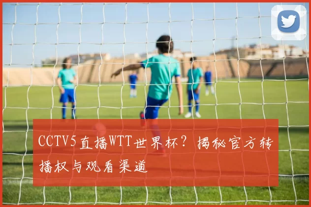 CCTV5直播WTT世界杯?揭秘官方转播权与观看渠道