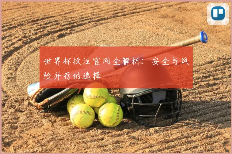 世界杯投注官网全解析：安全与风险并存的选择