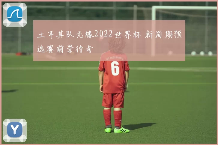 土耳其队无缘2022世界杯 新周期预选赛前景待考