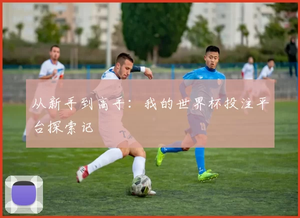 从新手到高手：我的世界杯投注平台探索记