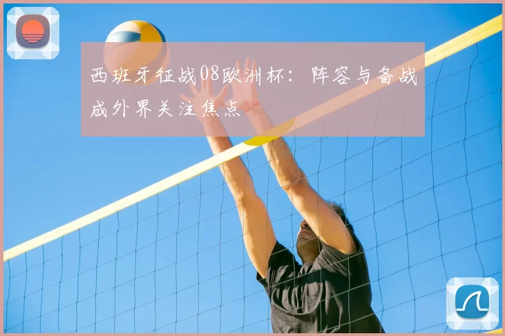 西班牙征战08欧洲杯:阵容与备战成外界关注焦点