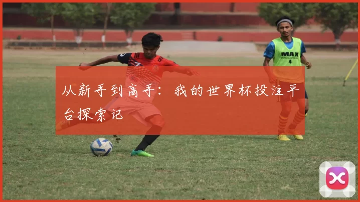 从新手到高手：我的世界杯投注平台探索记