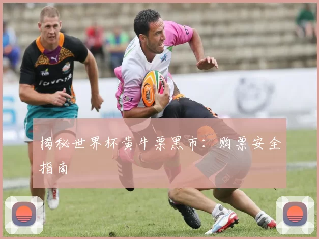 揭秘世界杯黄牛票黑市:购票安全指南