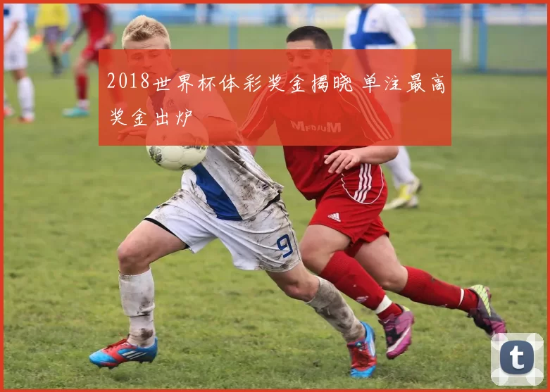 2018世界杯体彩奖金揭晓 单注最高奖金出炉