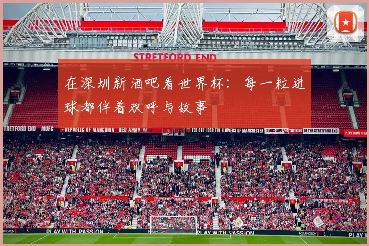 在深圳新酒吧看世界杯：每一粒进球都伴着欢呼与故事