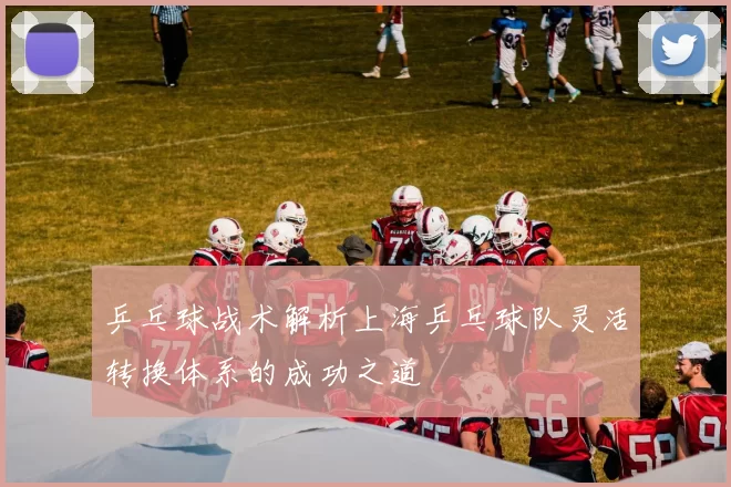 乒乓球战术解析上海乒乓球队灵活转换体系的成功之道