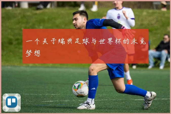 一个关于瑞典足球与世界杯的未竟梦想