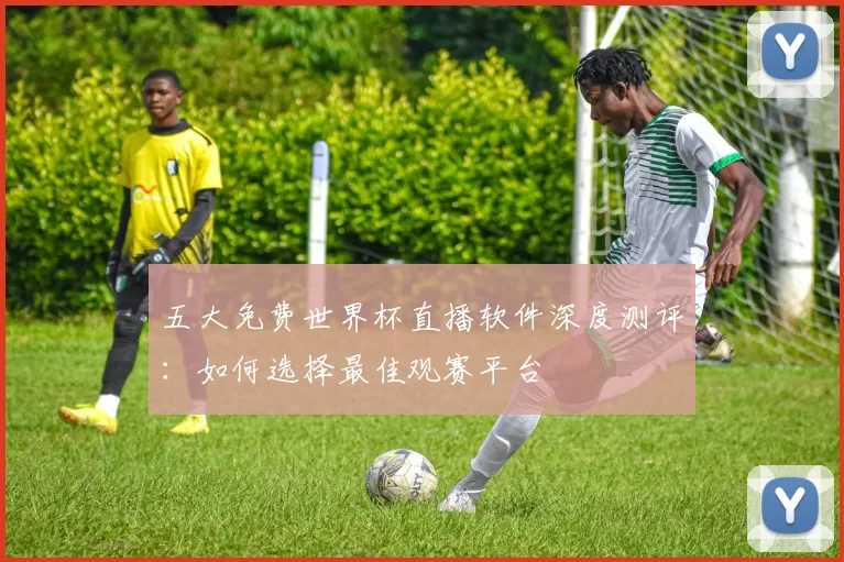 五大免费世界杯直播软件深度测评:如何选择最佳观赛平台