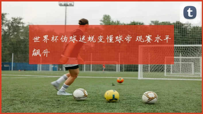 世界杯伪球迷蜕变懂球帝 观赛水平飙升