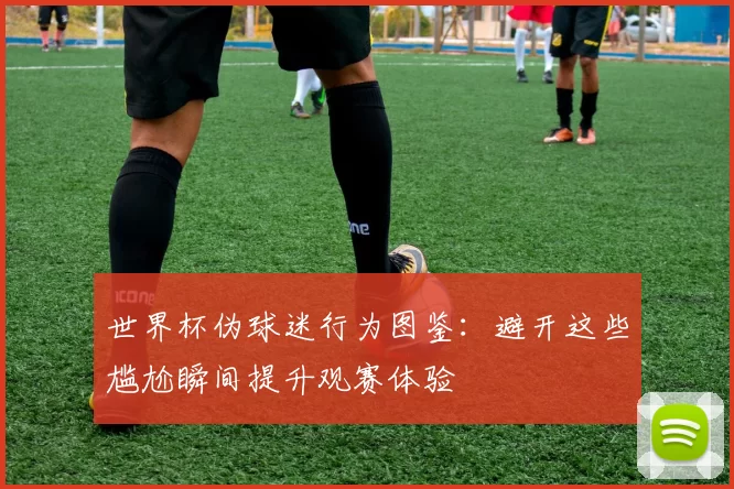 世界杯伪球迷行为图鉴:避开这些尴尬瞬间提升观赛体验