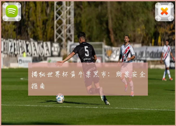 揭秘世界杯黄牛票黑市:购票安全指南