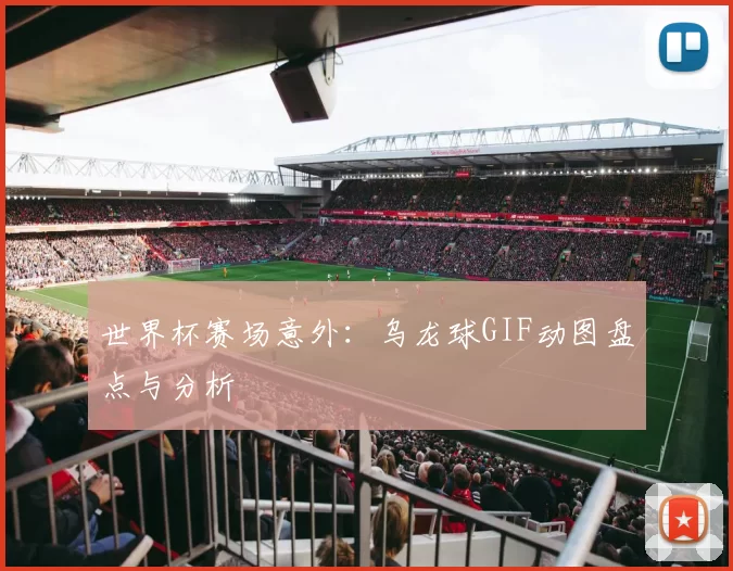 世界杯赛场意外：乌龙球GIF动图盘点与分析